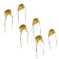 Radial Multilayer Ceramic Capacitor (TMCC03-5)